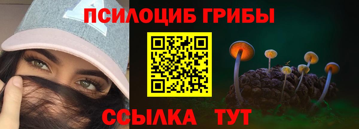 Галлюциногенные грибы Magic Shrooms  Псилоцибиновые грибы Psilocybine cubensis  наркотики  Таганрог  Вход с VPN 